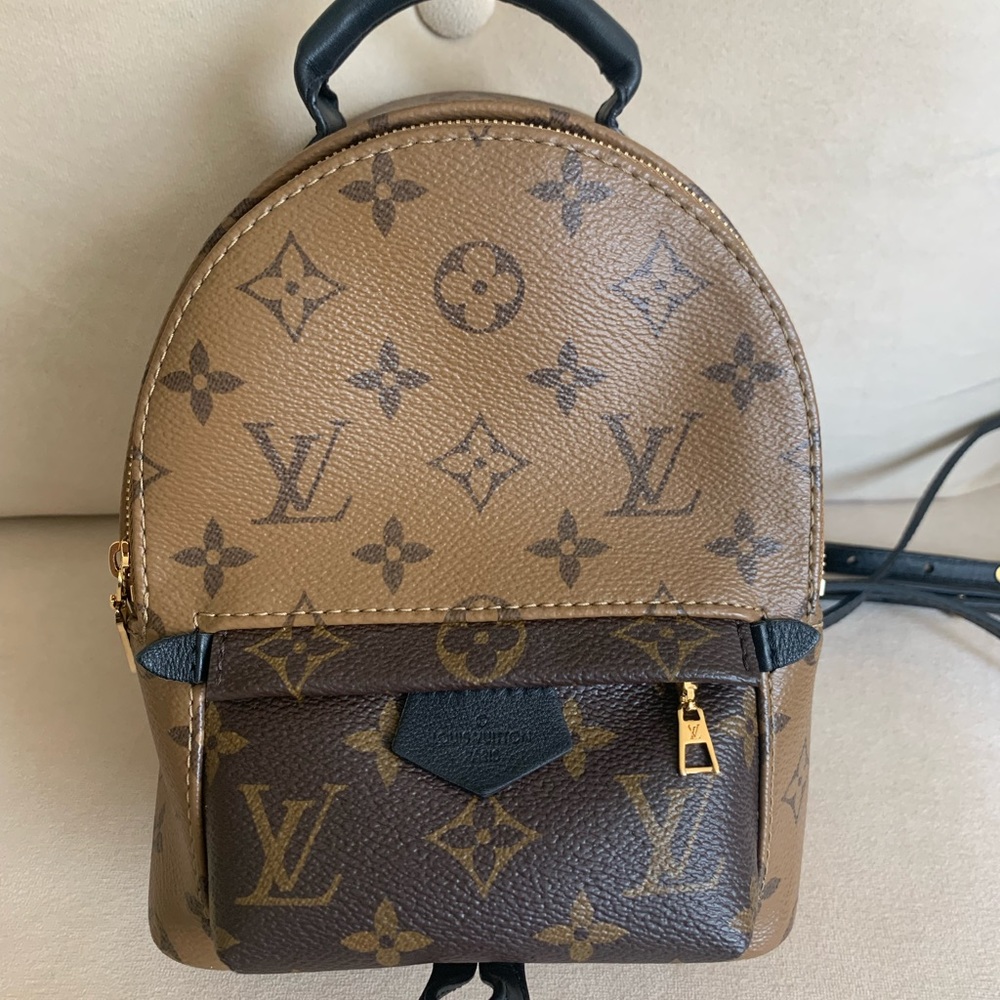Louis Vuitton Palm Springs Mini Reverse Monogram
